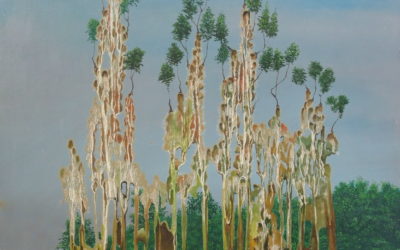 1978 Druipers  40x40